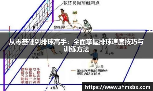 必一运动从零基础到排球高手：全面掌握排球速度技巧与训练方法